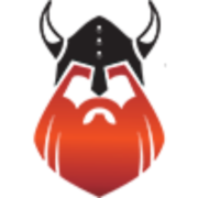 Viking Solutions
